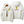 Waterproof Sport Jacket Scuderia